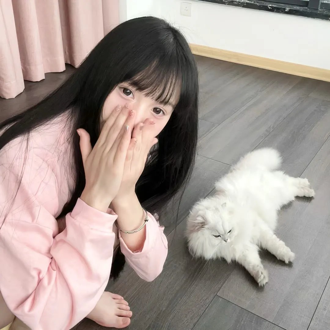 阴阳先生之末代天师